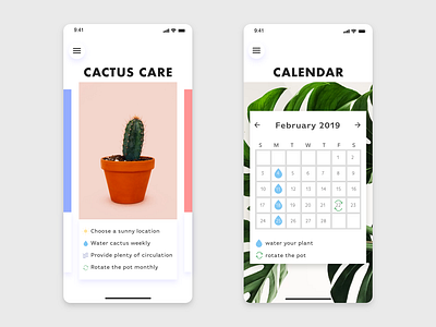 Plant Care & Calendar App 2019 adobexd app cactus calendar design dribbble iphonex minimal plant ui ux
