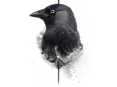 No Bird Sang - No. 01 art bird crow digital manipulation photo poster print