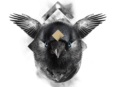 The Raven / The Wisdom animal art black digital manipulation photo poster print raven spirit symbolism white