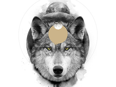 The Wolf / The Transformative animal art black digital manipulation photo poster print spirit symbolism white wolf