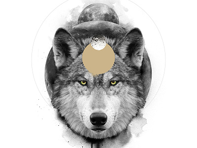 The Wolf / The Transformative