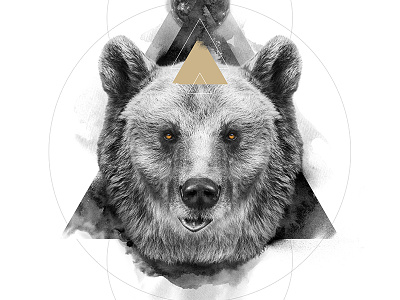 The Bear / The Masculine animal art bear black digital manipulation photo poster print spirit symbolism white
