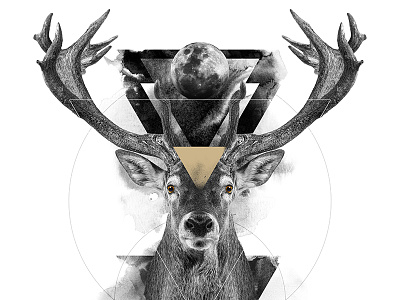 The Deer / The Feminine animal art black deer digital manipulation photo poster print spirit symbolism white