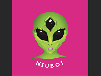 Logo Design for NIUBOI