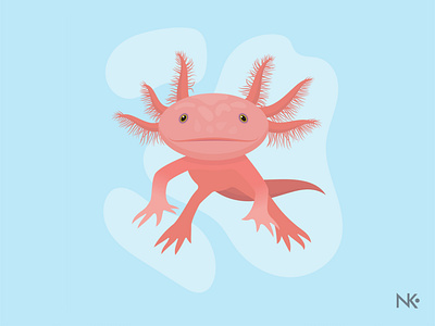 Axolotl adobe illustrator ai axolotl blue design flat illustration illustrator illustrator lesson pink vector