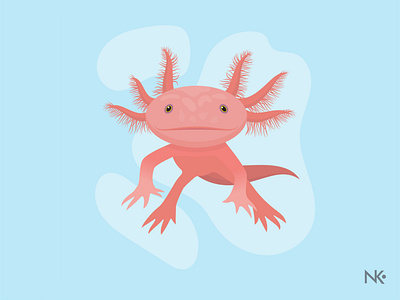 Axolotl