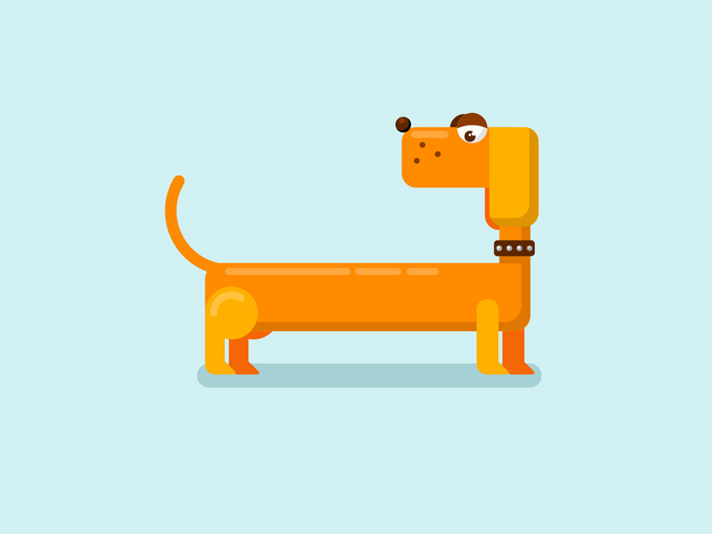 Dachshund flat illustration illustration symbol of years dachshund dog
