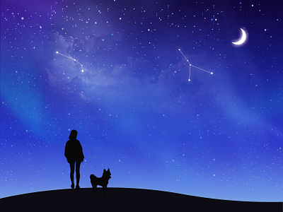 Looking At The Stars dog girl night star