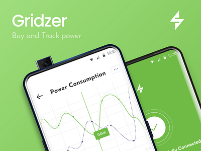 Gridzer (buy and track power) graph power