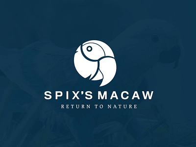 Spix's Macaw: Logo Animation animal animation berlin bird branding brazil logo macaw parrot spix vector