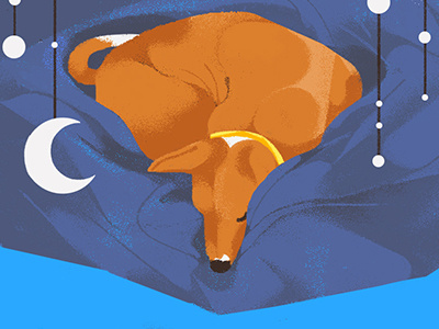 National Dog Day design dog illustration uber