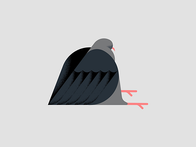 𝒾𝓉 𝒷𝑒 animal bird illustration illustrator pigeon vector