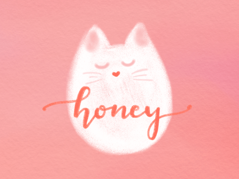 Honey animation cat gif illustration illustrator kawaii lettering love pink sketch