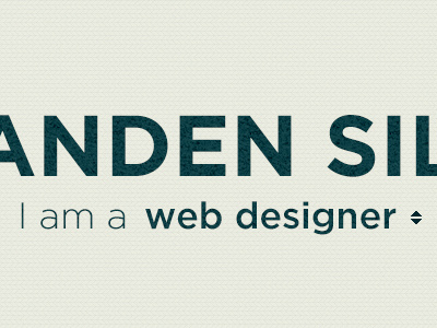 I am a web designer; among other things portfolio slogan texture web designer