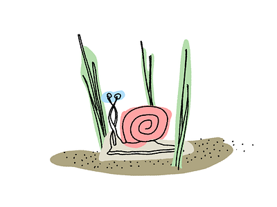 Slow Down Friend illustration procreate snail