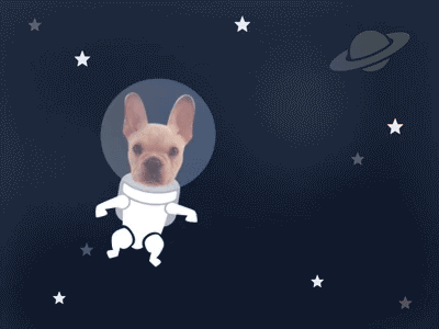 DJ the Astronaut astronaut driftt french bulldog galaxy puppy space