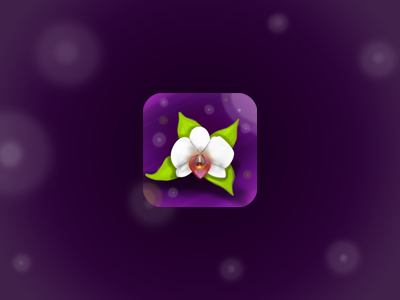 Flower iOS icon app flower icon ios logo test