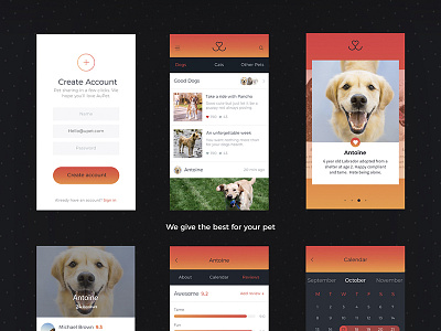 Aupet app interaction logo pets ux