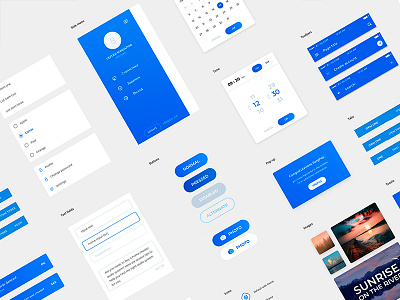 Light conservative Ui Kit app blue business design gui light theme ui kit