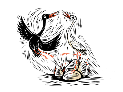 Storks illustration
