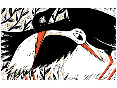 Storks illustration