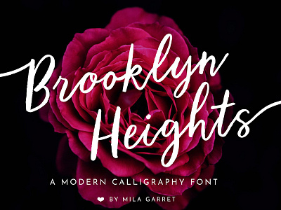 Calligraphy Script Brooklyn Heights calligraphy calligraphy font elegant font feminine font fonts hand lettered hand writing modern modern calligraphy modern calligraphy font typography