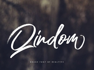 Qindom bold bold font branding brush brush font cool font font logo love font modern qindom typography