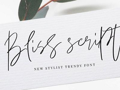 Bliss Script Stylist! bliss script stylist blogging font chic font feminine font font handmade logo logo font lovely font script font social media font