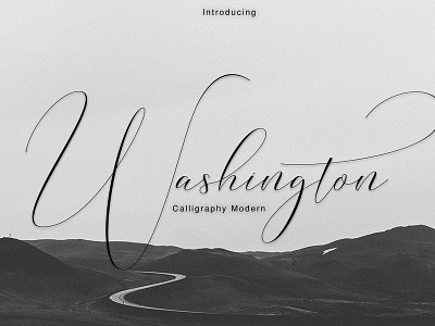 Washington Calligraphy Modern branding calligraphy calligraphy fonts elegant font font fonts logo modern calligraphy script typeface washington calligraphy modern wedding