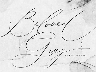 Beloved Gray -Fine Art Font beautiful font calligraphy font elegant font feminine font fonts collection logo font luxury font modern calligraphy font romantic font script font stylish font wedding font