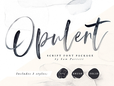 Script Font designs, themes, templates and downloadable graphic elements on  Dribbble