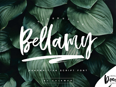 Bellamy Script branding brush calligraphy font handwritten script font lettering modern script script font type typeface typography