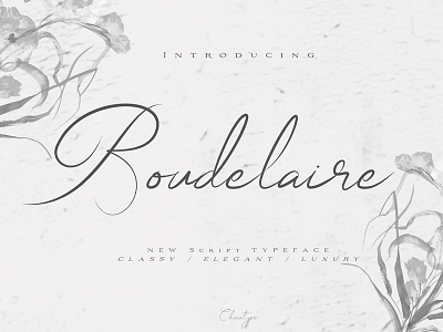 Boudelaire Script beauty branding calligraphy classy elegant feminine love script luxury pretty script signature wedding font