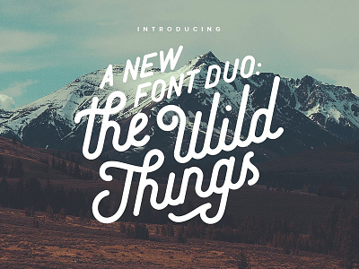The Wild Things calligraphy font handmade lettering logo modern calligraphy script swashes type typeface typography vintage