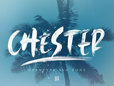 Chester SVG Font brush font fontself handmade ink opentype svg font paint poster svg font texture typography