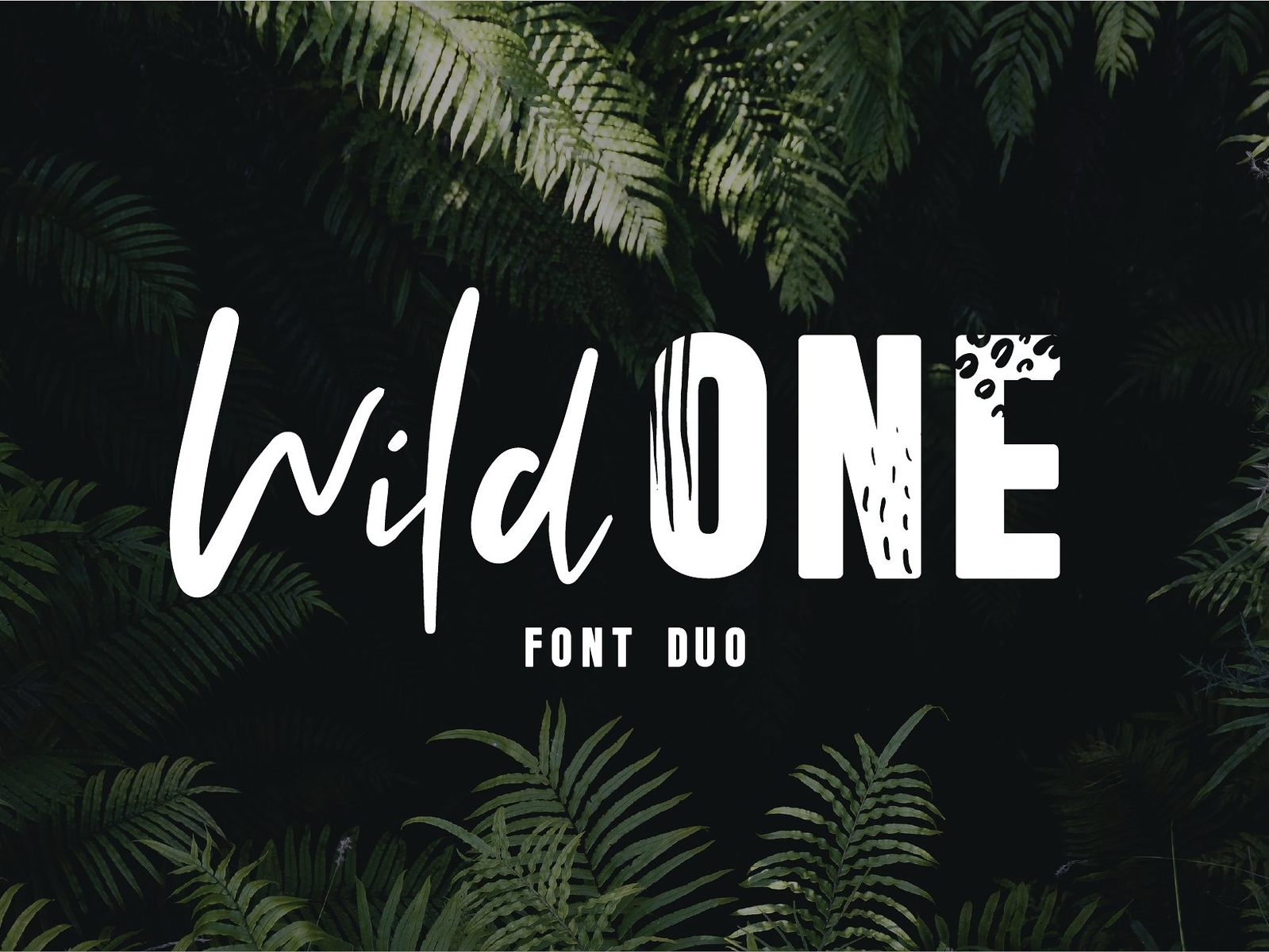 Wild One Font SVG For Cricut And Silhouette, Alphabet Svg, Modern ...