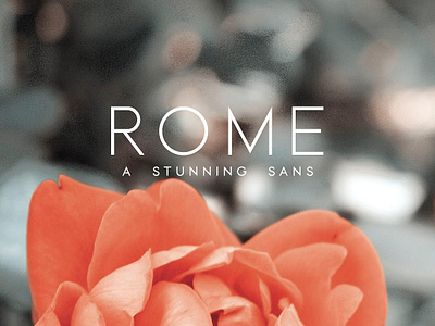 Rome | A Stunning Sans Serif advertising branding calligraphy clean elegant feminine font fonts collection lettering logo modern modern calligraphy rome sans serif sans serif font serif font stunning sans trending typeface typography