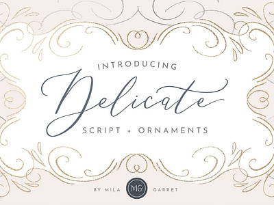 Delicate Elegant Script & Ornaments branding calligraphy delicate delicate elegant script elegant elegant script feminine font handwritten lettering logo modern modern calligraphy ornaments script script font signature typeface typography wedding