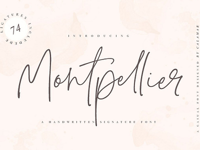 Montpellier | Signature Font branding calligraphy elegant feminine font handwritten handwritten font handwritten typeface logo modern modern calligraphy script signature signature font signature fonts signature typeface typeface typography wedding