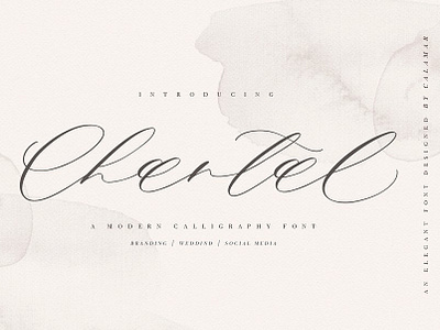 Chantal Script branding calligraphy elegant feminine font fonts collection handwriting handwritten lettering logo modern modern calligraphy modern calligraphy font script script font signature stylish typeface typography wedding