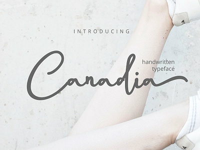 Canadia Script | Handwritten branding calligraphy elegant feminine font fonts collection handwritten handwritten typeface lettering logo logo font modern modern calligraphy script script font script typeface signature typeface typography wedding