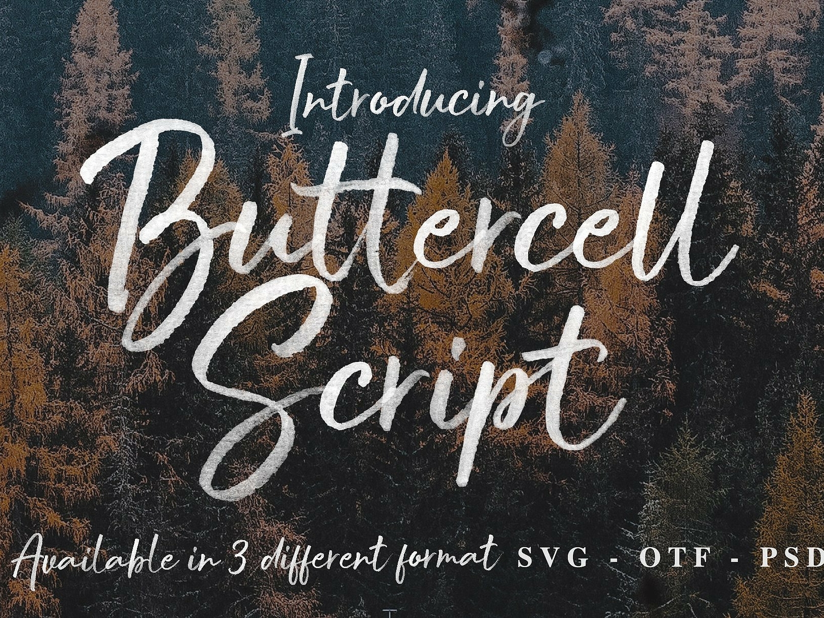 Buttercell Script Svg Font By Fonts Collection On Dribbble