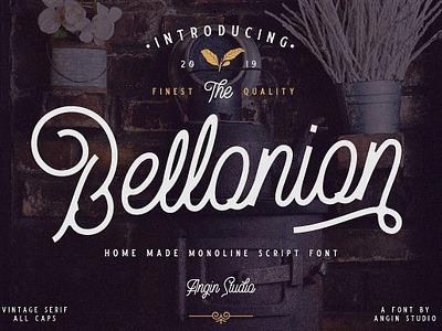 Bellonion Script ( font duo ) branding calligraphy elegant font font duo fonts collection handwritten lettering logo logo design modern modern calligraphy monoline monoline script font script script font script font duo typeface typography vintage