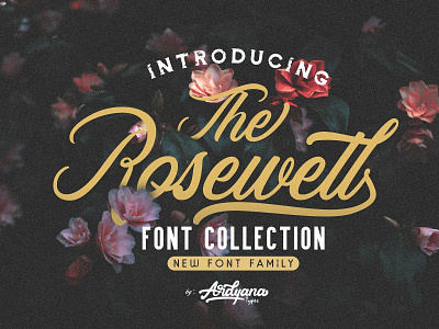 Rosewell Font Collection beauty font branding branding logo coffee font font font collection font family grunge grunge font hand lettered logo logo font lovely font luxury font retro retro font retro font collection script vintage vintage font collection