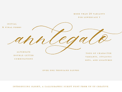 Download Slight A Calligraphy Script Font By Fonts Collection On Dribbble