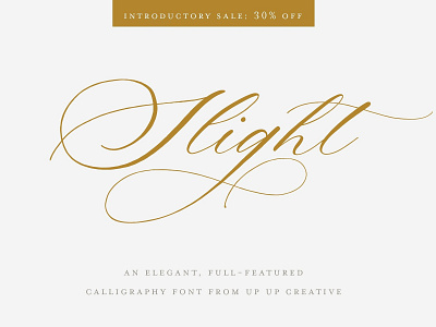 Slight, a Calligraphy Script Font branding calligraphy calligraphy font calligraphy script calligraphy script font elegant font fonts collection handwritten lettering logo modern modern calligraphy script script font signature slight typeface typography wedding