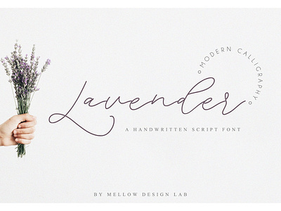 Lavender Script branding calligraphy font handwriting font handwritten handwritten font handwritten script font lavender lavender font lavender script lavender typeface lettering logo modern modern calligraphy script script font script fonts typeface typography