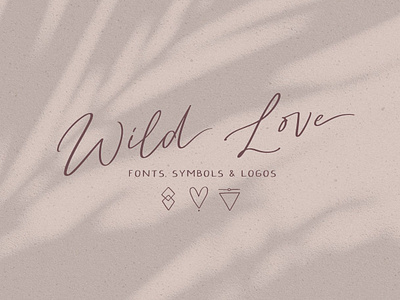 Wild Love Fonts Symbols & Logos branding calligraphy calligraphy font elegant font lettering logo logos love font modern modern calligraphy script script font signature font symbol symbols typeface typography wild love wild love fonts