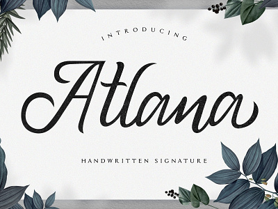 B By Jeff Prowten Dribbble B By Jeff Prowten Dribbble