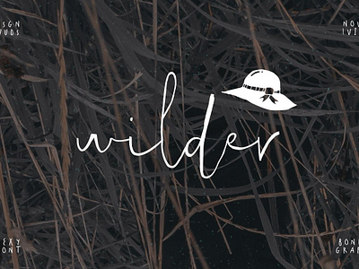 B By Jeff Prowten Dribbble B By Jeff Prowten Dribbble